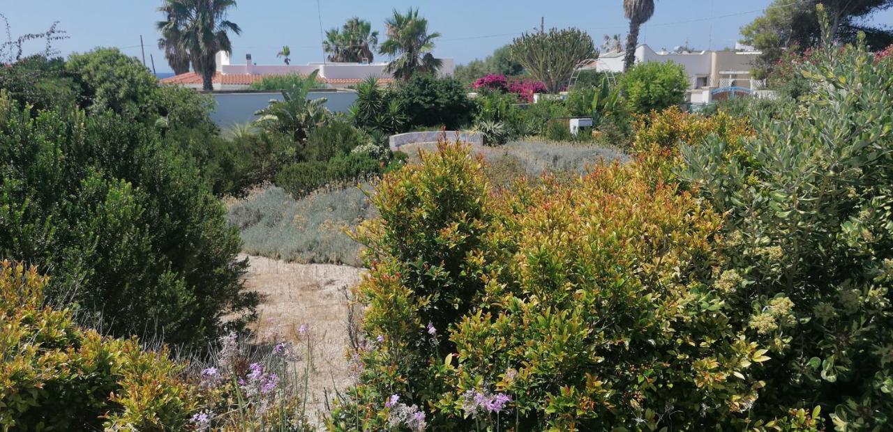 I Mirti - Home Holiday Marina di Mancaversa Exterior foto
